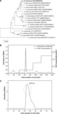 Exopolysaccharide Produced by Pediococcus pentosaceus E8: Structure, Bio-Activities, and Its Potential Application